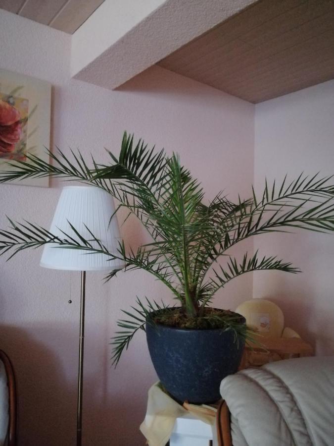 Apartment Dietze Machern Bagian luar foto