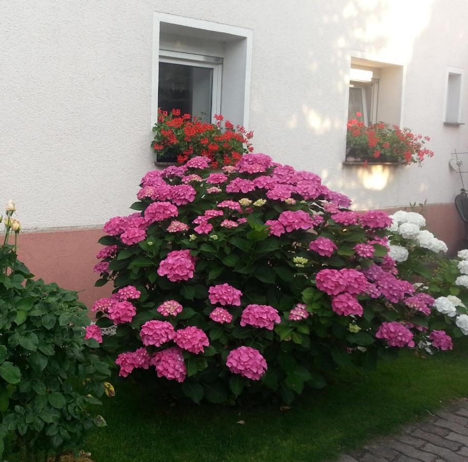 Apartment Dietze Machern Bagian luar foto